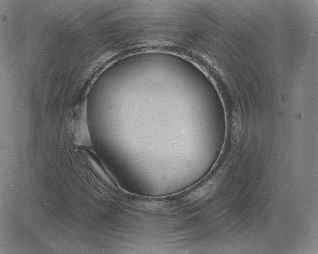 X0000080771257200701021112