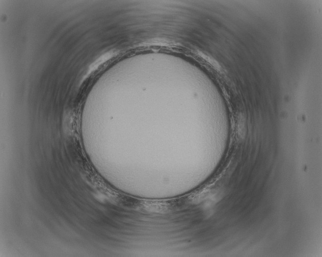 X0000080771258200701021112