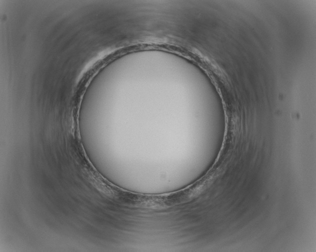 X0000080771262200701021112