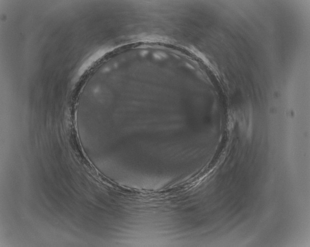 X0000080771263200701021112