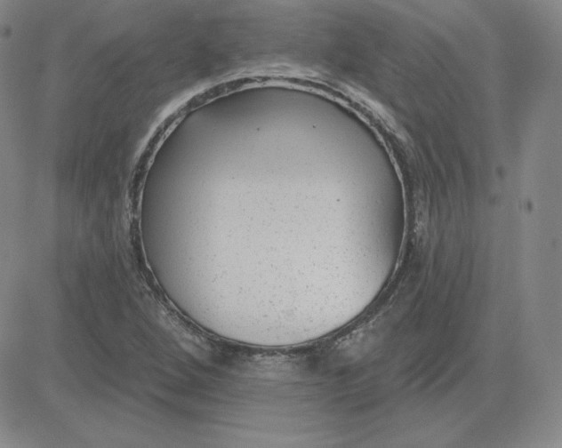 X0000080771264200701021112