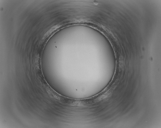 X0000080771265200701021112