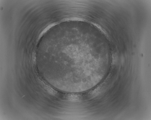 X0000080771266200701021112