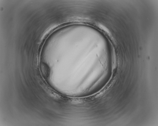 X0000080771267200701021112