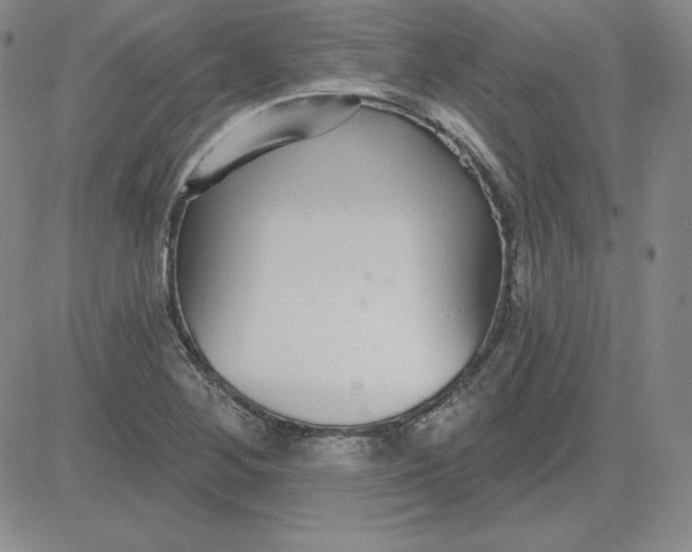 X0000080771268200701021112