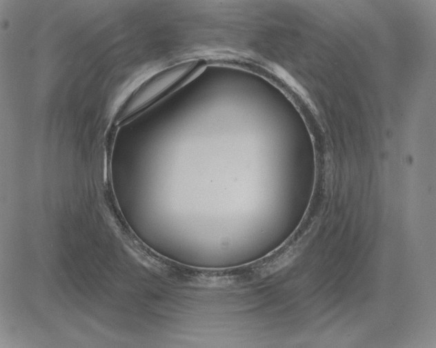 X0000080771269200701021112