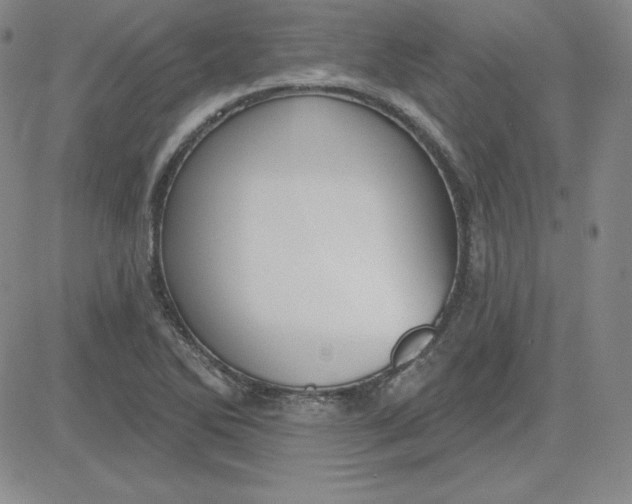 X0000080771270200701021112