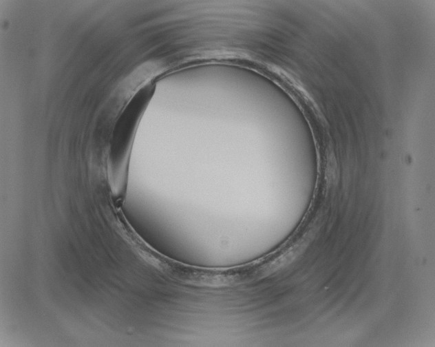 X0000080771273200701021112