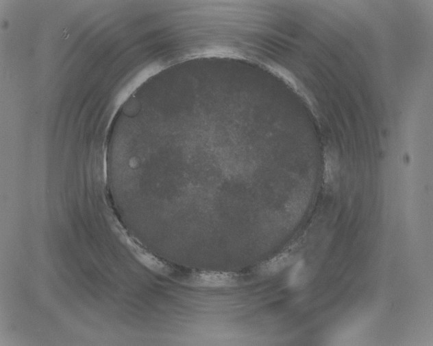 X0000080771274200701021112