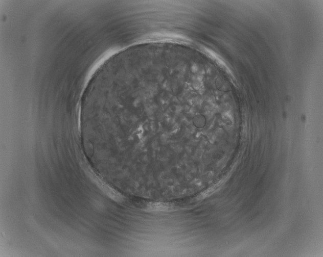 X0000080771275200701021112