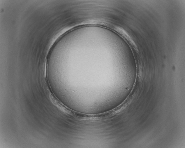 X0000080771276200701021112