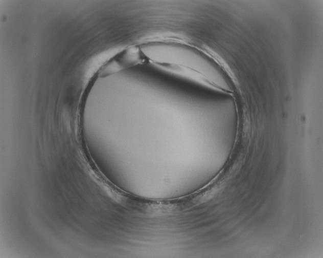 X0000080771277200701021112