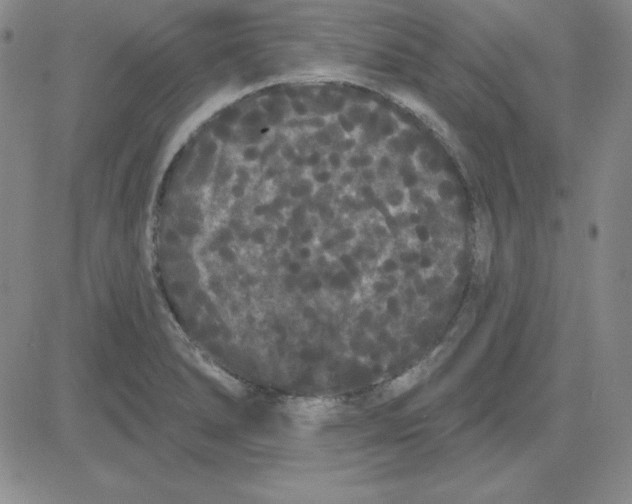 X0000080771278200701021112