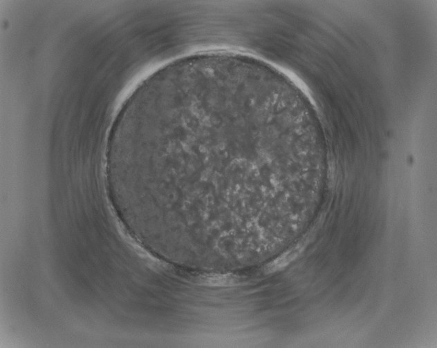 X0000080771279200701021112