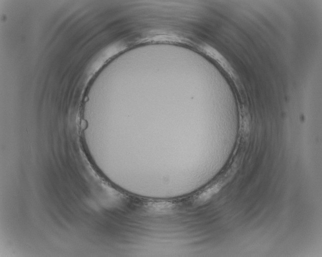 X0000080771282200701021112