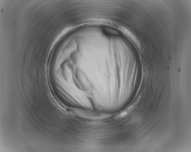 X0000080771283200701021112