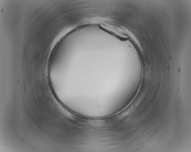 X0000080771285200701021112