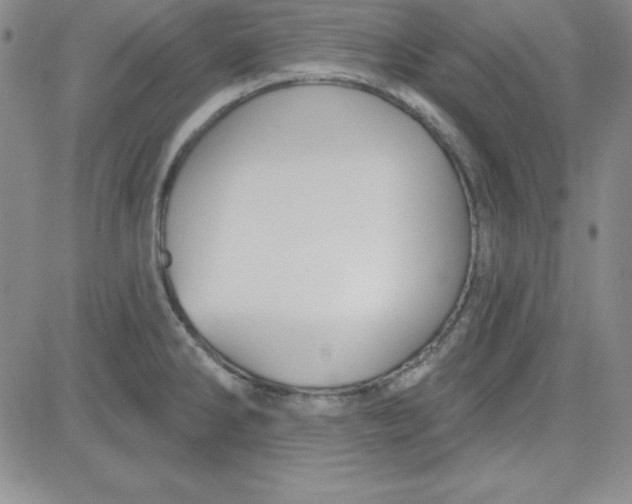 X0000080771286200701021112