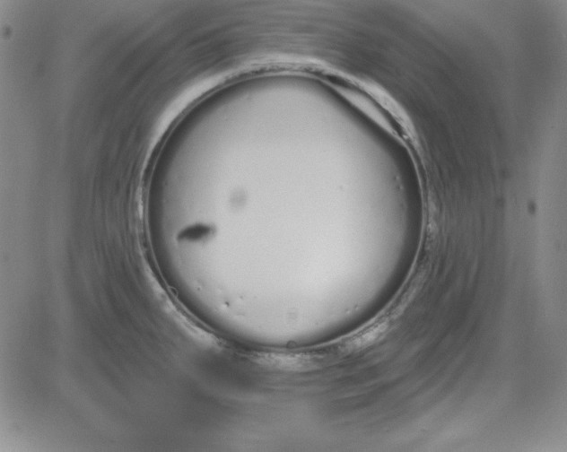 X0000080771287200701021112