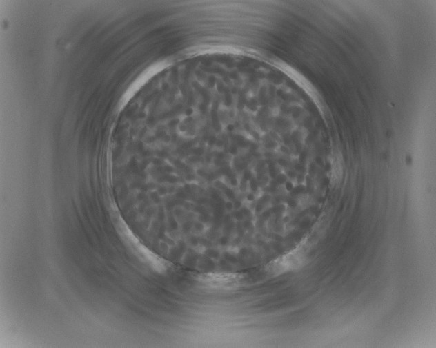 X0000080771290200701021112