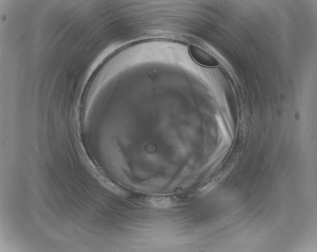 X0000080771291200701021112