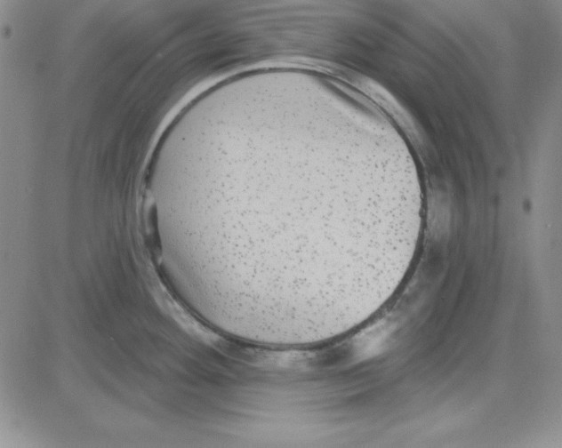 X0000080771292200701021112