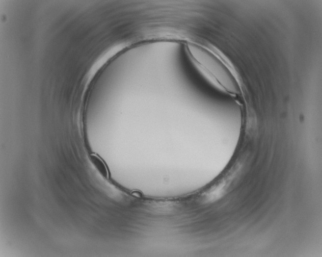 X0000080771293200701021112