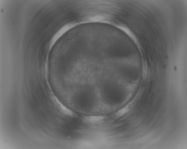 X0000080771294200701021112