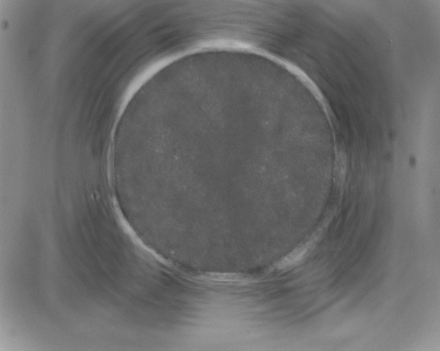 X0000080771295200701021112