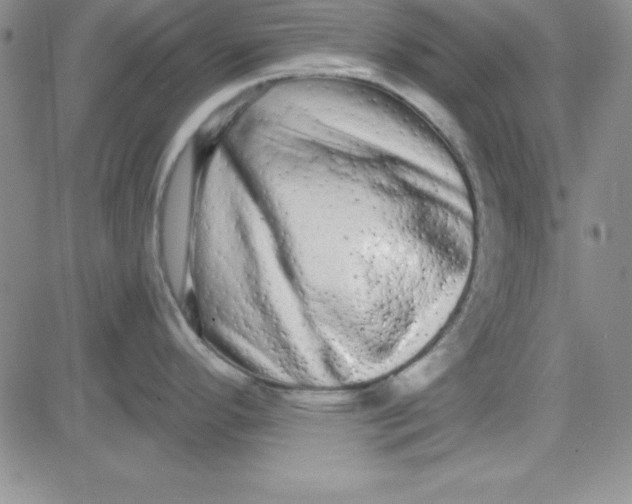 X0000080771296200701021112