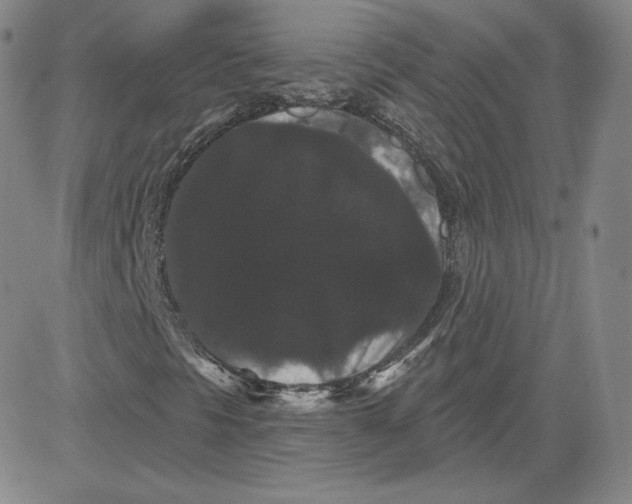 X0000080771297200701021111