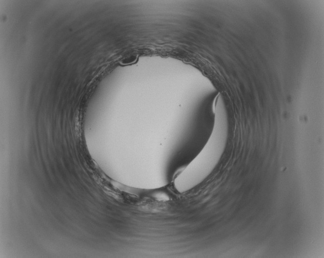 X0000080771298200701021111