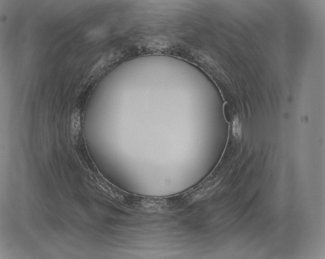 X0000080771299200701021111