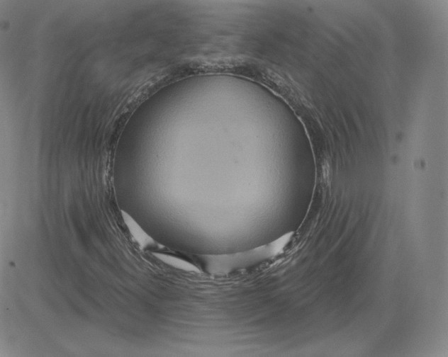 X0000080771300200701021111