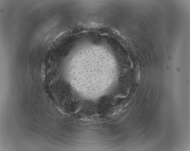 X0000080771301200701021111