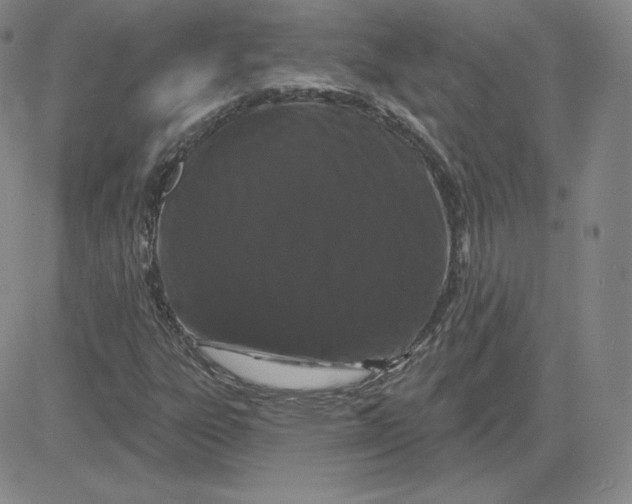 X0000080771303200701021111