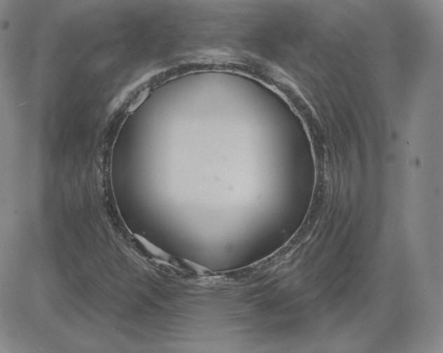 X0000080771304200701021111