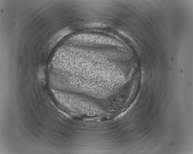 X0000080771305200701021111