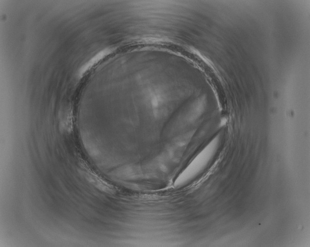 X0000080771306200701021111