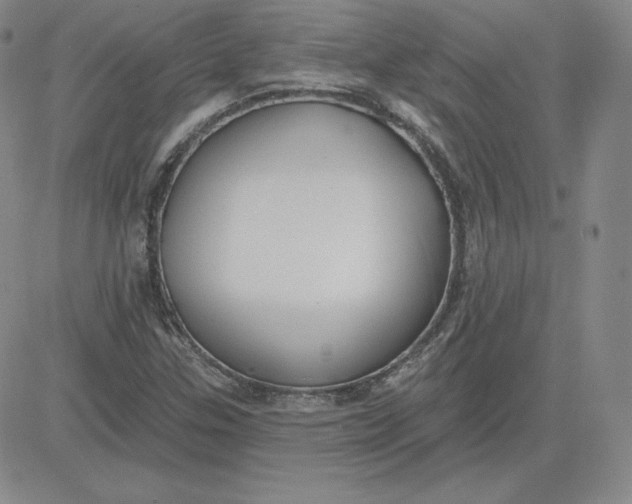 X0000080771307200701021111