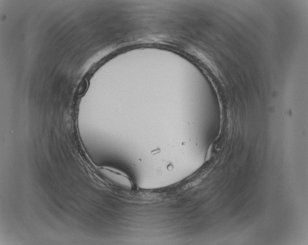 X0000080771308200701021111