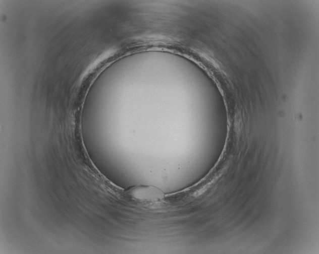 X0000080771309200701021111