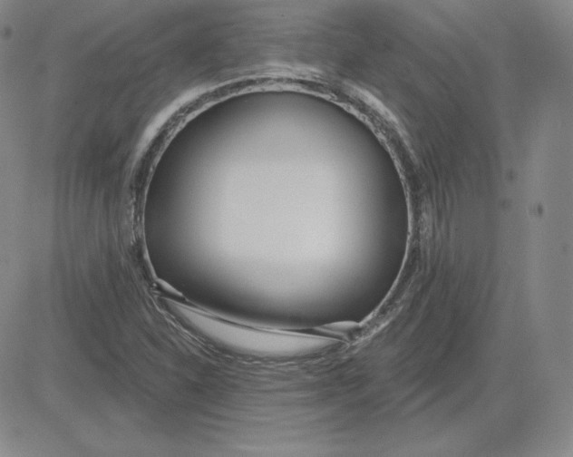 X0000080771310200701021111