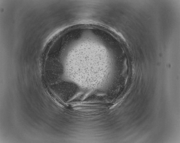 X0000080771311200701021111