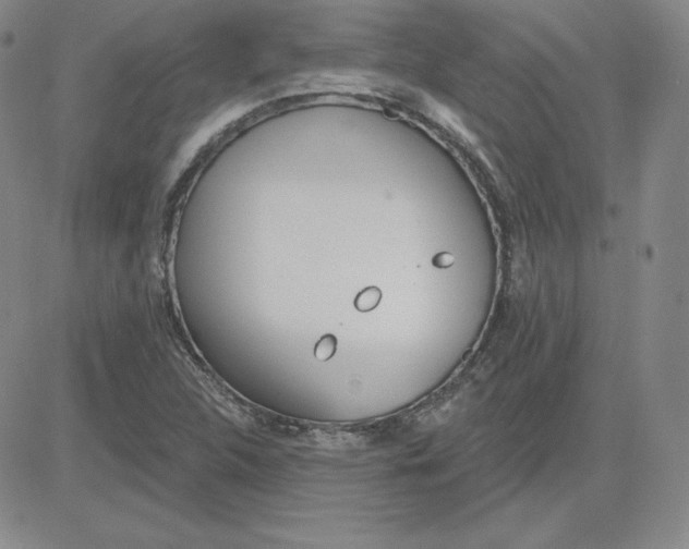 X0000080771312200701021111