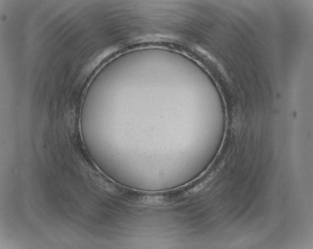 X0000080771313200701021111