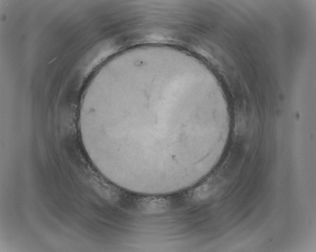 X0000080771314200701021111