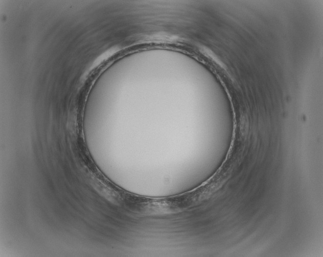 X0000080771315200701021111