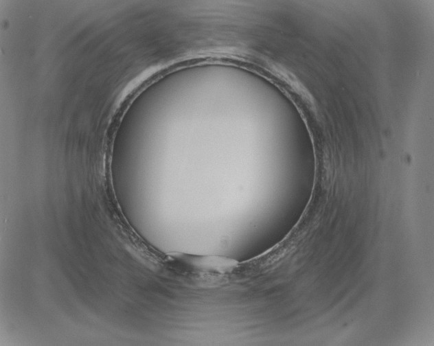 X0000080771316200701021111