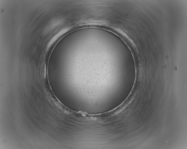 X0000080771317200701021111